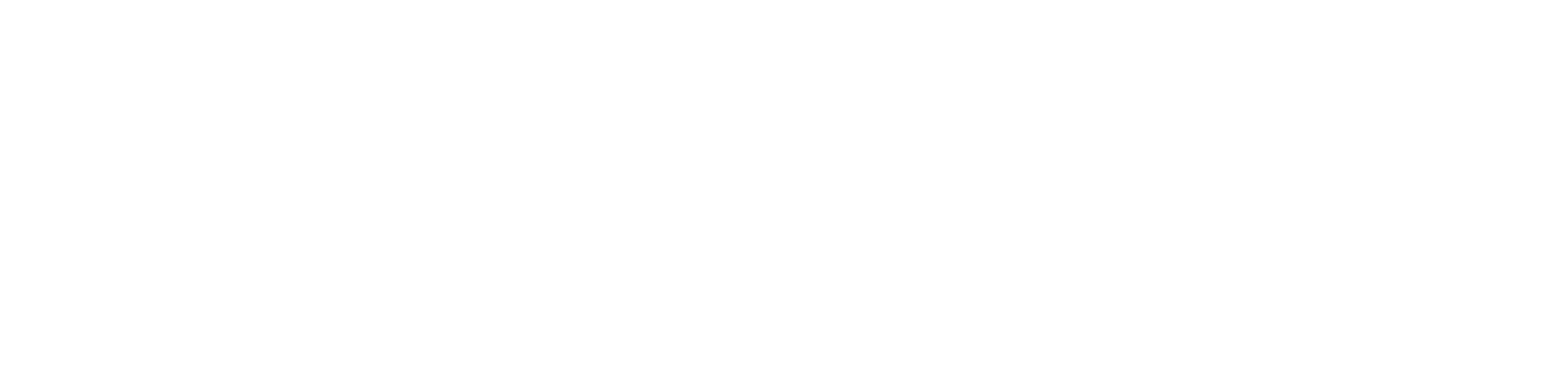 The TechTerra Logo